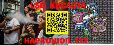 PSILOCYBIN Краснодар