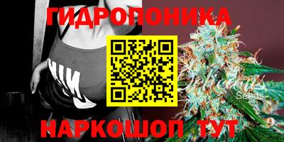 СК Краснознаменск