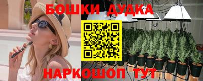 СК Краснознаменск