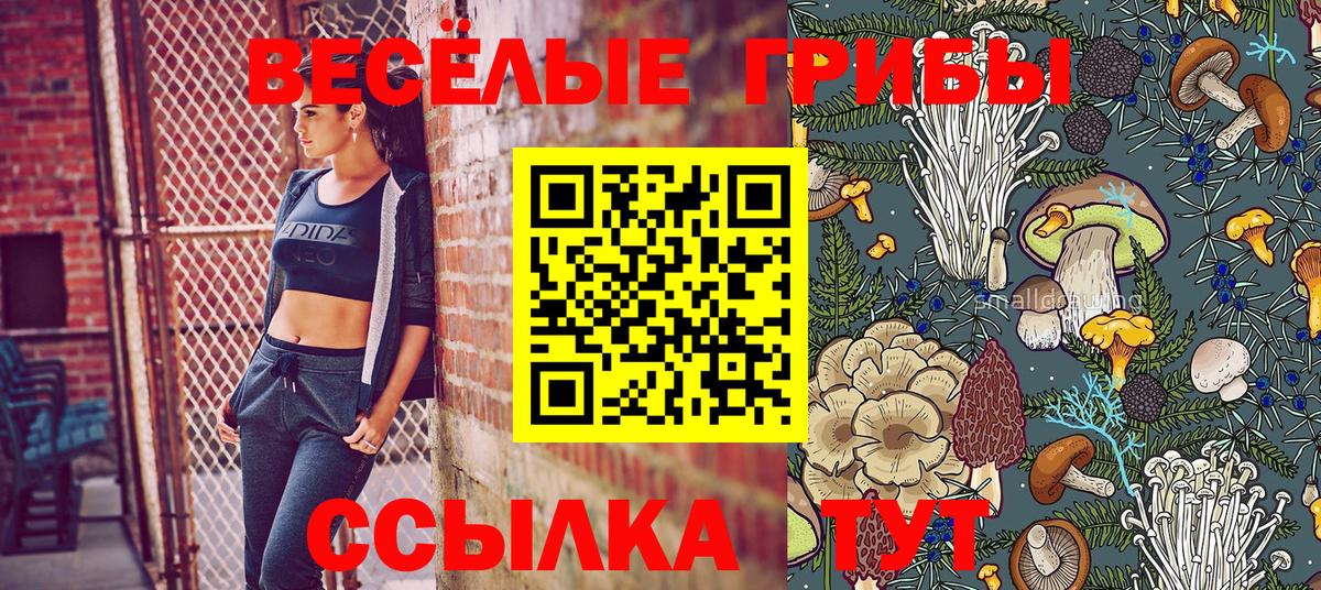 Галлюциногенные грибы MAGIC MUSHROOMS  Галлюциногенные грибы Psilocybe  Гуково  Вход с VPN 